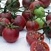 Tomato Black Cherry