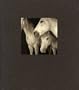 21st Editions Journal of Contemporary Photography Volume 1 (One/I)
