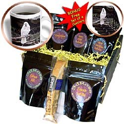 Birds - Moluccan Cockatoo - Coffee Gift Baskets - Coffee Gift Basket by 3dRose LLC