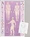 Acupressure Point Reference