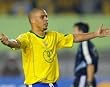 Ronaldo Brazil 8x10 Photograph Goal Celebration