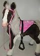 Butterscotch S'Mores Interactive Horse Saddle Set Pink!