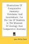 Illustrations Of Comparative Anatomy: Vertebrate And Invertebrate; For The Use Of Students In The Museum Of Zoology And Comparative Anatomy