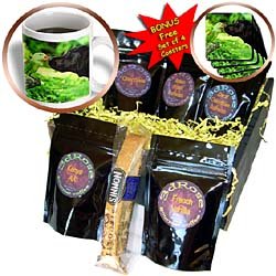 Dogs Labrador Retriever - Just One More KISS - Coffee Gift Baskets - Coffee Gift Basket by 3dRose LLC