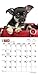 Chihuahua Puppies 18-Month 2015 Calendar