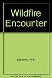 Wildfire encounter