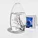 EcoSphere Closed Aquatic Ecosystem, Small Pod