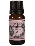 Bubble Gum Fragrance Oil - 10 ml - Scented Oil