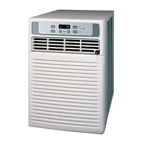 LG LWHD1000CR 10,000-BTU Window Air Conditioner