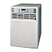 LG LWHD1000CR 10,000-BTU Window Air Conditioner