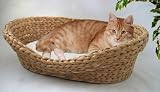 Tierbett aus Wasserhyazinthe, Farbe:Korb natur - Kissen rohwei�; Gr��e:ca. B72 x T56 x H17 cm