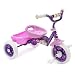Disney Princess Folding Tricycle