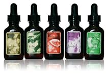 WEN Bath, Body & Hair Oil 1 oz - Complete Set