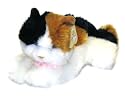 Plush Esmeralda Calico Cat Body Puppet 11"