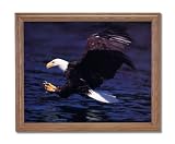 American Bald Eagle Claws Lake Animal Wildlife Home Decor Wall Picture Oak Framed Art Print