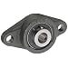 NTN UCFL Series Light-Duty Flange Ball Bearing Unit, 2 Bolt Holes, Setscrew Lock, Snap Ring and Groove, Contact and Flinger Seals, Cast Iron
