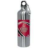 Arizona Diamondbacks Stainless Steel Water Bottle