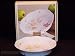 Lenox Butterfly Meadow Deep Pie Dish