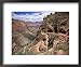 The Bright Angel Trail, Beneath the South Rim, Grand Canyon National Park, Arizona, USA Collections Framed Art Poster Print by Ruth Tomlinson, 22x18