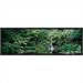 Jardin D'Ayrlies Auckland New Zealand by Toquin, Alain