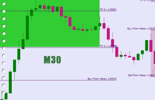 forex software