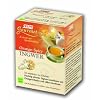 Salus Gourmet Ingwer Orange-Spicy Tee Btl. 30g