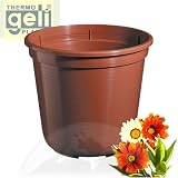 Eigenschaften   / Blumentopf Standard terracotta, 22cm