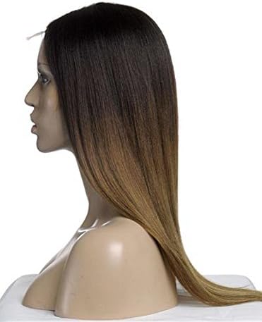 Fashion Ombre Highlight Straight Remy Human Hair Full Lace Wig