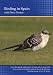 Birding in Spain (PC)