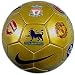 Nike Trainingsball Fanball Fußball Premier League