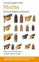 Concise Guide to the Moths of Great Britain and Ireland (Concise Guide)