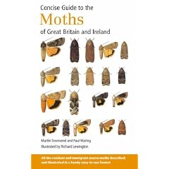 Concise Guide to the Moths of Great Britain and Ireland