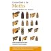 Concise Guide to the Moths of Great Britain and Ireland