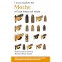 Concise Guide to the Moths of Great Britain and Ireland