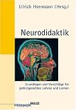 Neurodidaktik: Grundlagen und Vorschläge für gehirngerechtes Lehren und Lernen