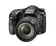 Sony A77 24.3 MP Translucent Mirror Digital SLR With 16-50mm F2.8 lens