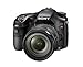 Sony A77 24.3 MP Translucent Mirror Digital SLR With 16-50mm F2.8 lens
