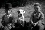  : The Little Rascals on DVD: School's Out (1930) Featuring Our Gang with Jackie Cooper & Bobby Young