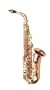 Yanagisawa A-992 Bronze Alto Saxophone