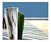 Abstract Beach Fence Scenic Photographic Poster Print by Elaine Plesser, 20x16