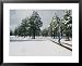 A Woman Mountain Biking in the Snow, Coconino National Forest, Arizona National Geographic Collection Framed Art Poster Print by Rich Reid, 31x25
