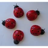 Wooden Red/ Black Ladybug Wall Hangings - Set of 5