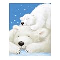 Unframed Posters - Fluffy Bears Ii (16 x 20")