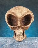Alien Skull Figurine