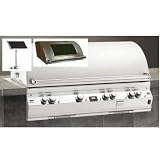 Fire Magic Gas Grills Echelon E1060i All Infrared Natural Gas Built-In Grill With Solar Panel & Magic View Window