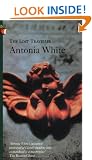 The Lost Traveller (Virago Modern Classics)