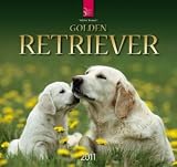 Golden Retriever 2011