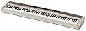 Casio PX-120 Privia Digital Piano