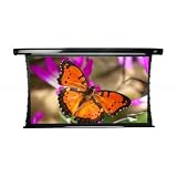 Elite Screens TE92VR2 CineTension2 Electric Projection Screen (92