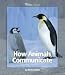 How Animals Communicate